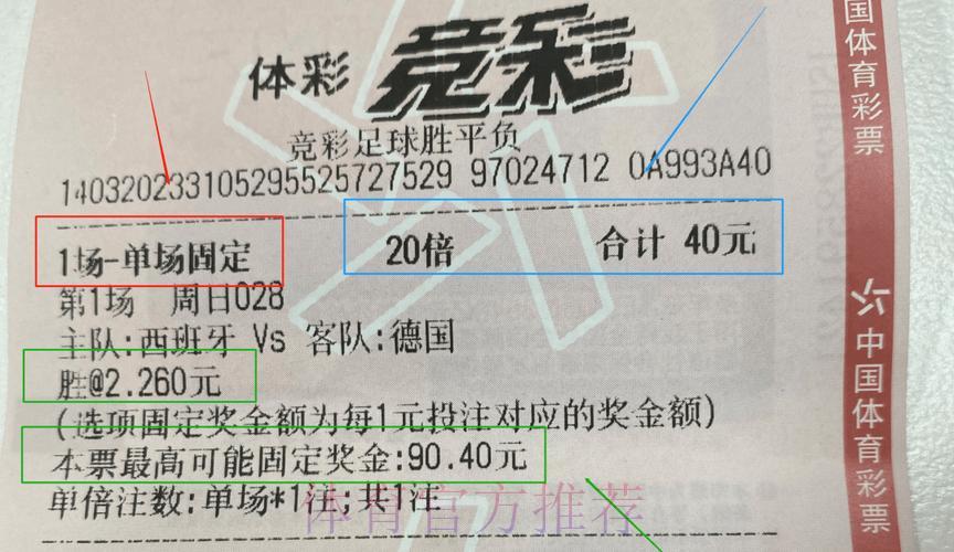 世界杯体育彩票手机投注完全指南 世界杯体育彩票手机投注完全指南