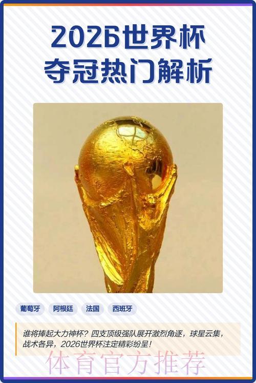 2026世界杯投注预测实时热门趋势解析