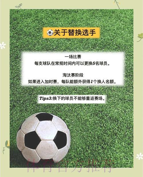世界杯外围赛安全保障完全手册：从入门到精通